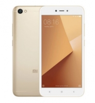 Y1 Lite